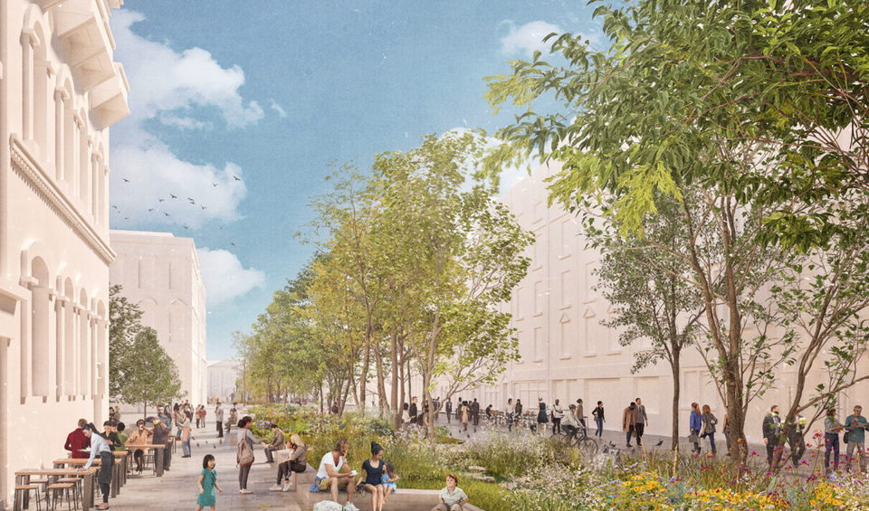 Grow College Green (part 2)